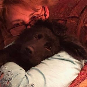 Meet your Posher, Cindy